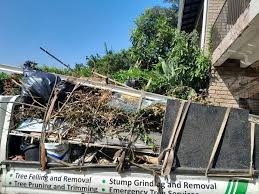 Professional Junk Removal Services in Shell Ridge, CA